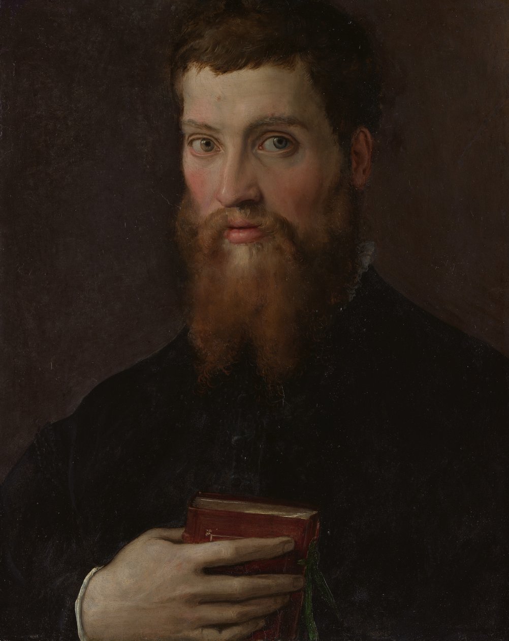 Carlo Rimbotti 1518-1591 - Francesco Salviati