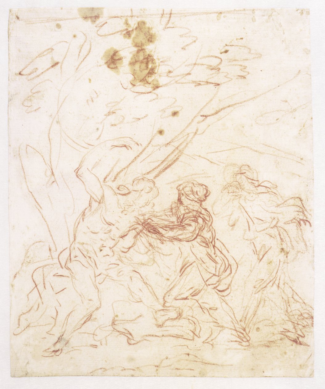 Saint Sébastien soigné par Sainte Irène - Francesco Solimena