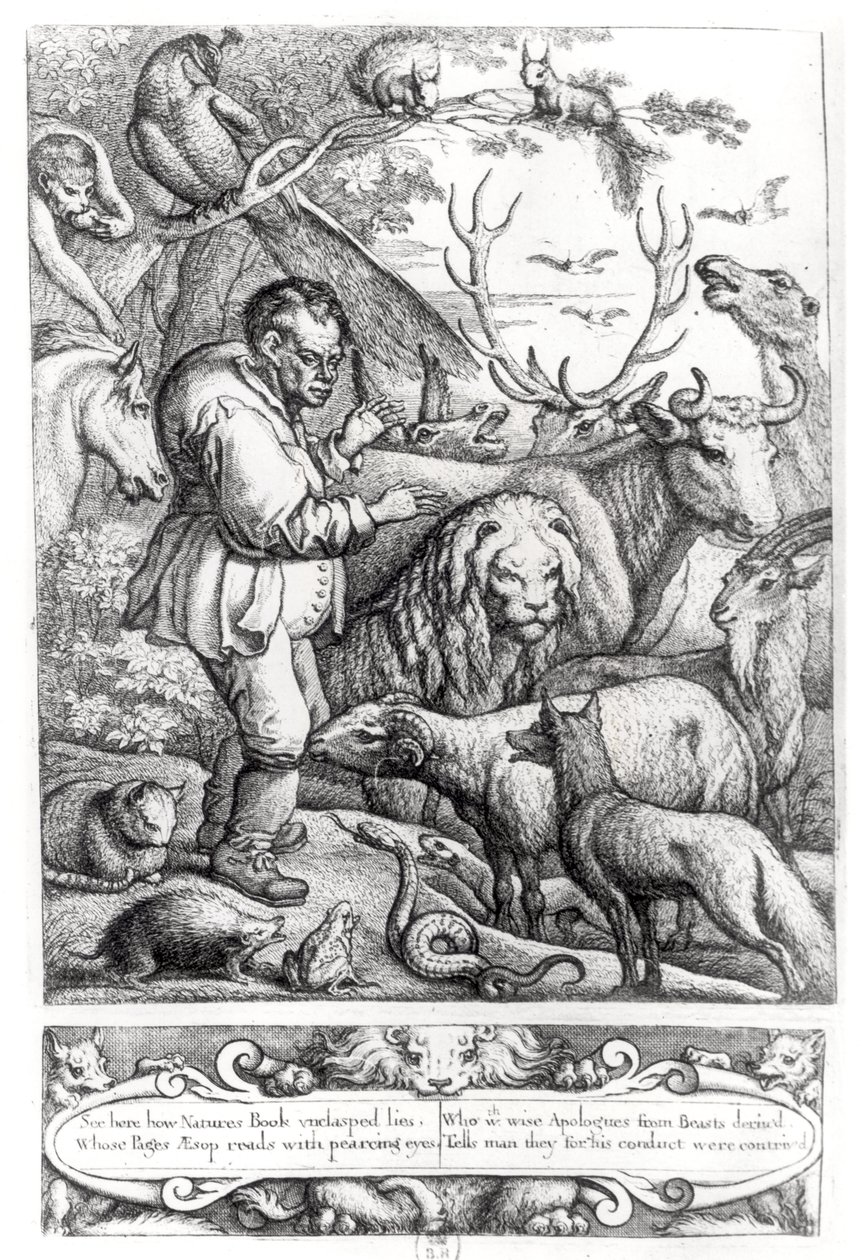 Illustration de l