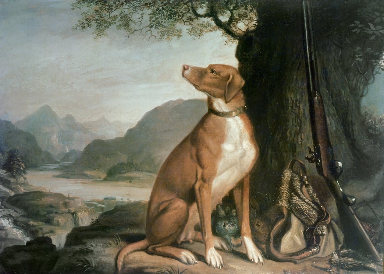 Le chien de chasse préféré de G. M. Johnston dans un paysage - J. Francis Sartorius