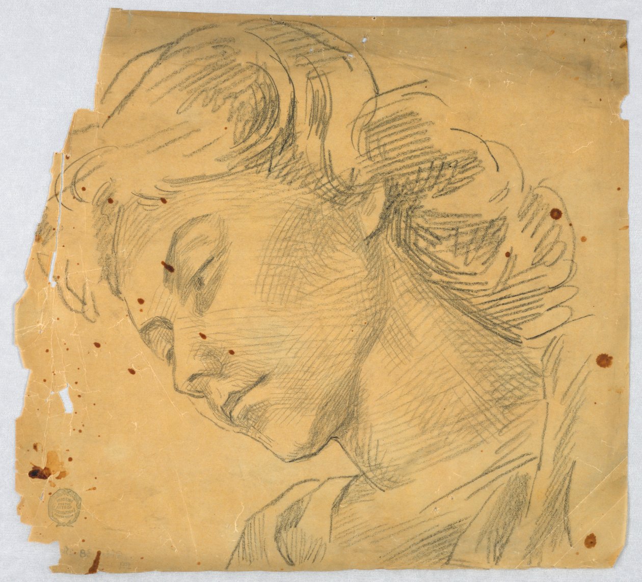 Croquis de la tête d