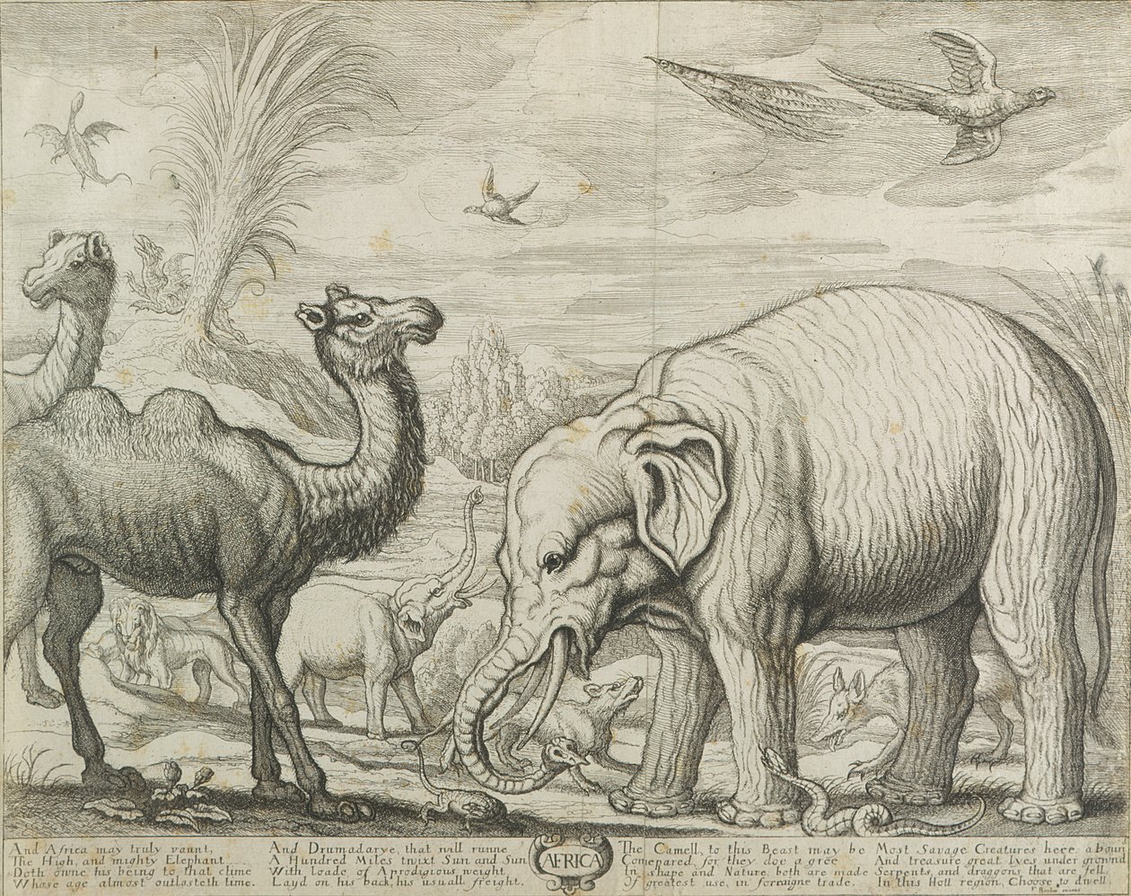 Afrique, 1672 - Francis Barlow
