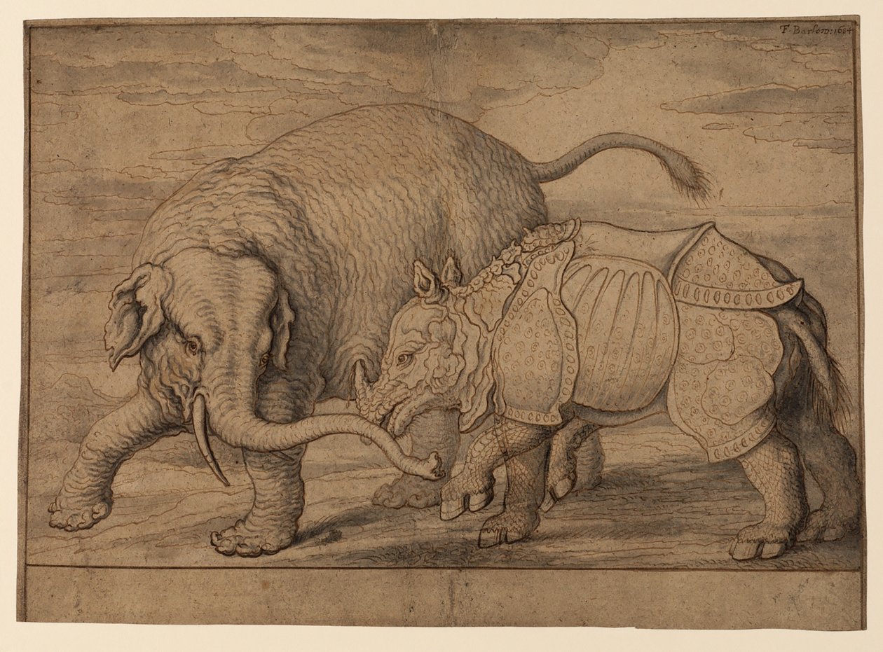 Combat entre un éléphant et un rhinocéros - Francis Barlow