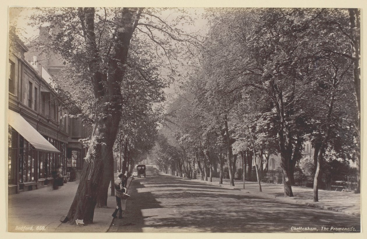 Cheltenham, la Promenade - Francis Bedford