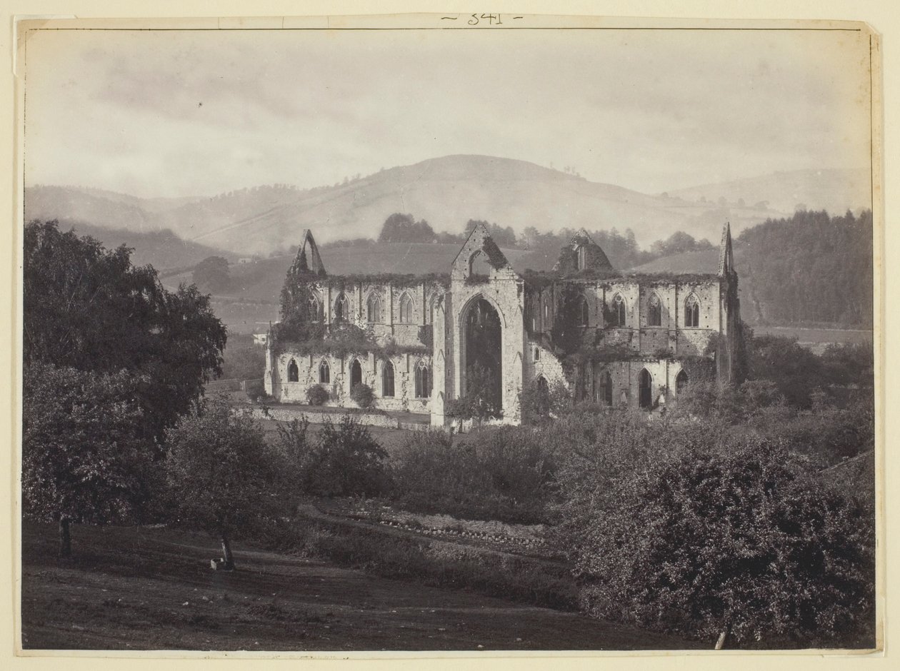 Abbaye de Tintern - Francis Bedford