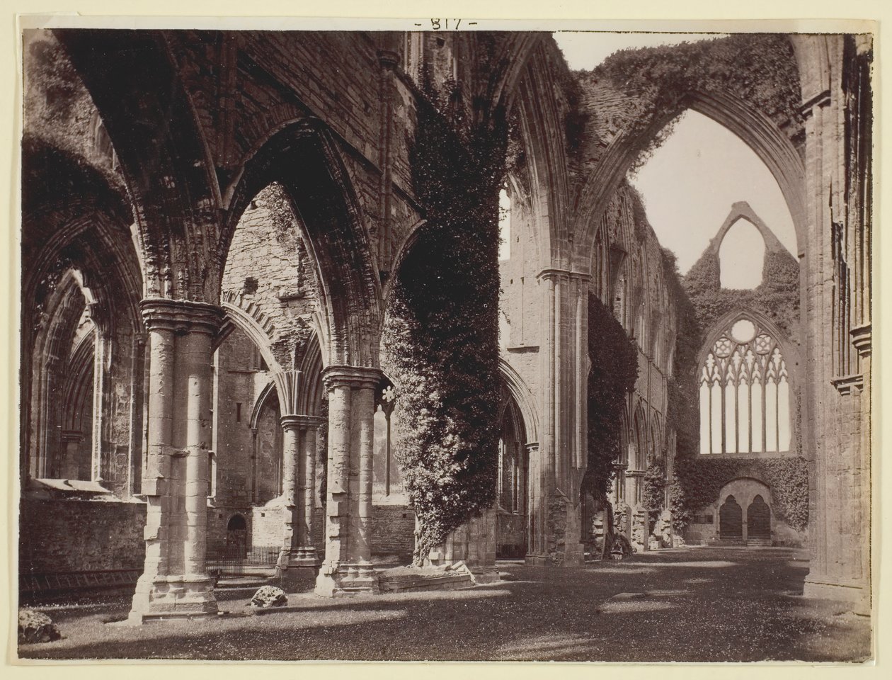 Sans titre [Abbaye de Tintern], 1860-94 - Francis Bedford