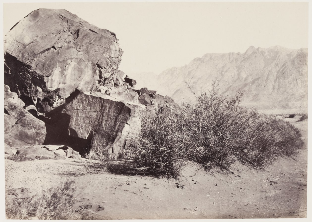 Pétroglyphes au Proche-Orient - Francis Frith