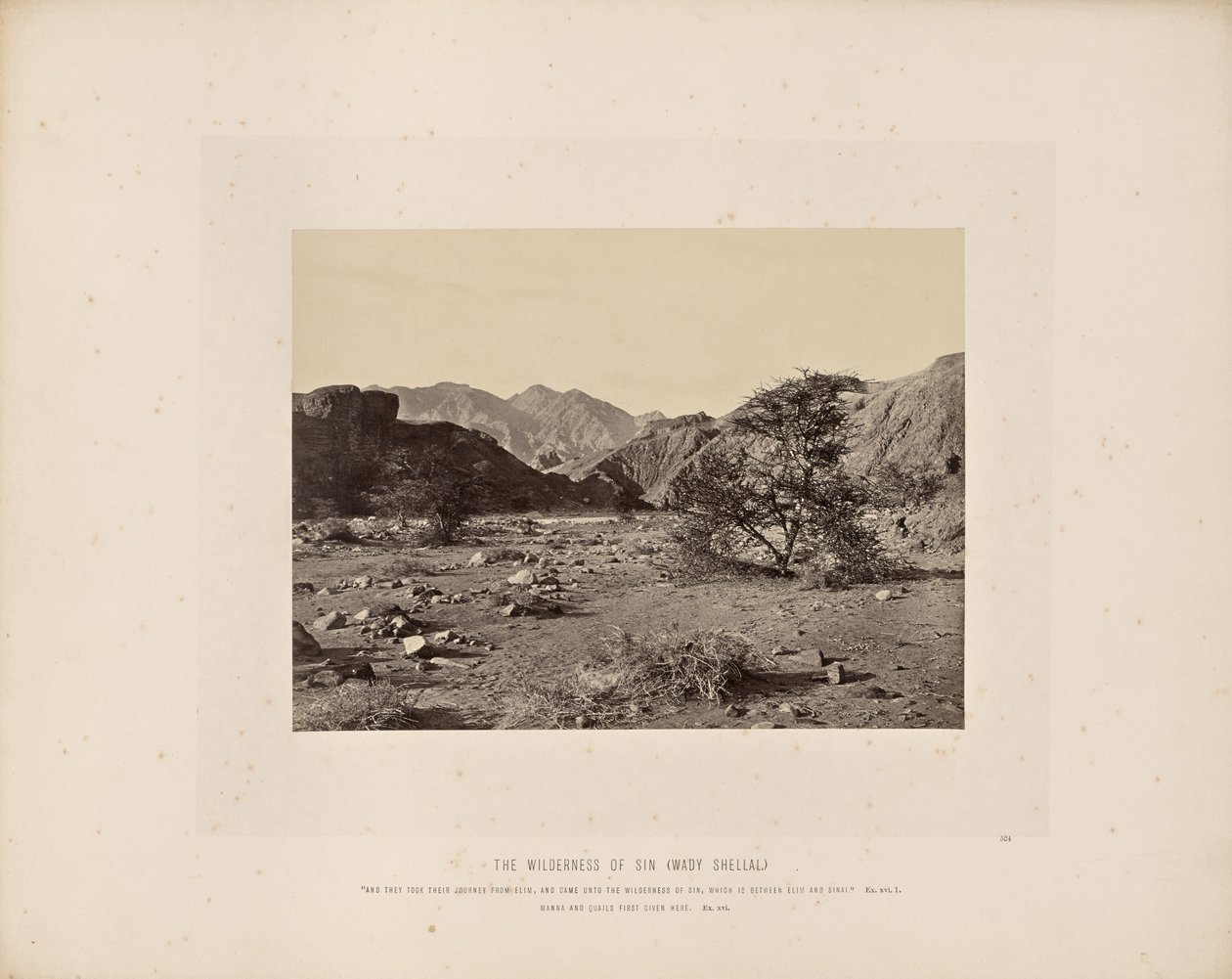 Le désert du péché (Wady Shellal) - Francis Frith