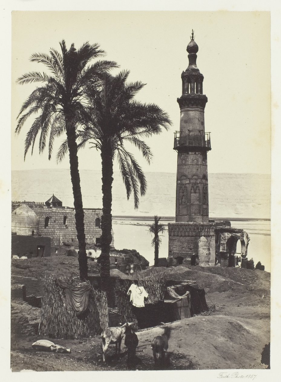 Vue de Girgeh, Haute Égypte - Francis Frith