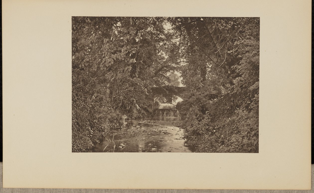 Sur la rivière Taunton - Francis Frith and Co.