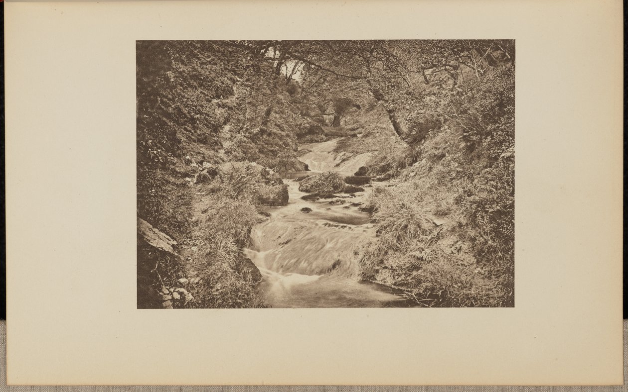 Le toboggan aquatique - Francis Frith and Co.