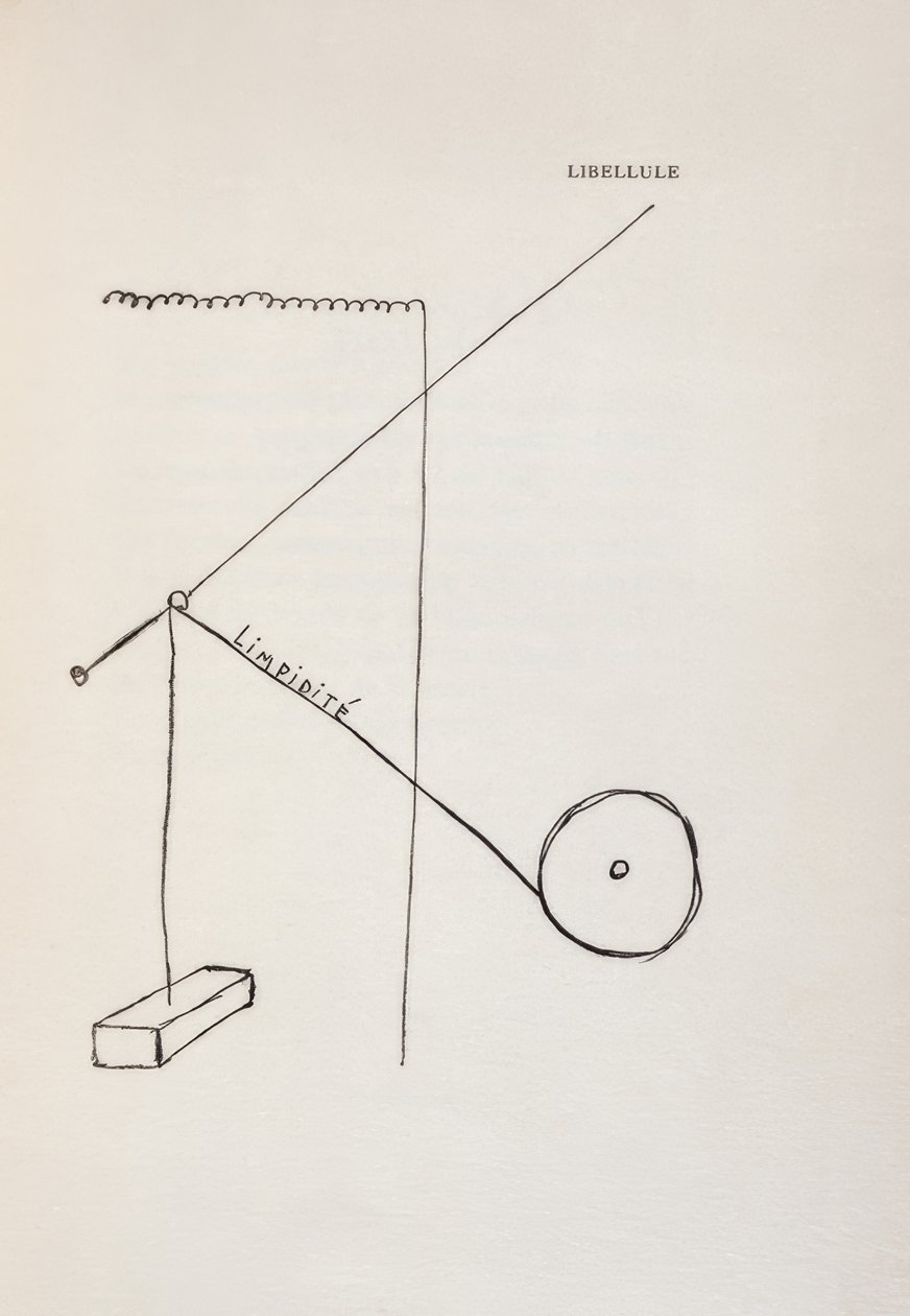 Libellule - Francis Picabia