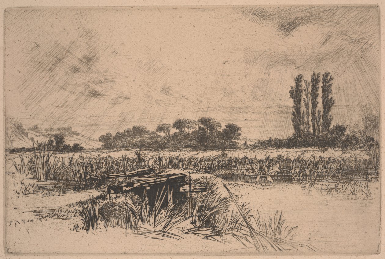 Un Pré Humide - Francis Seymour Haden