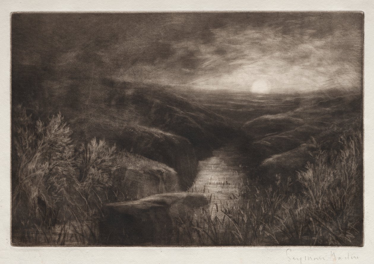 Repaire du moustique - Francis Seymour Haden