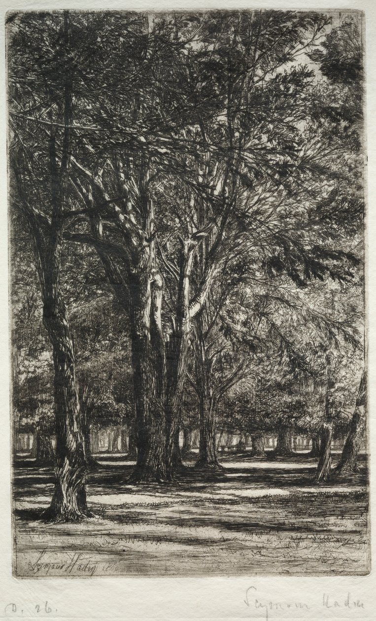 Kensington Gardens La Grande Planche, 1860 - Francis Seymour Haden