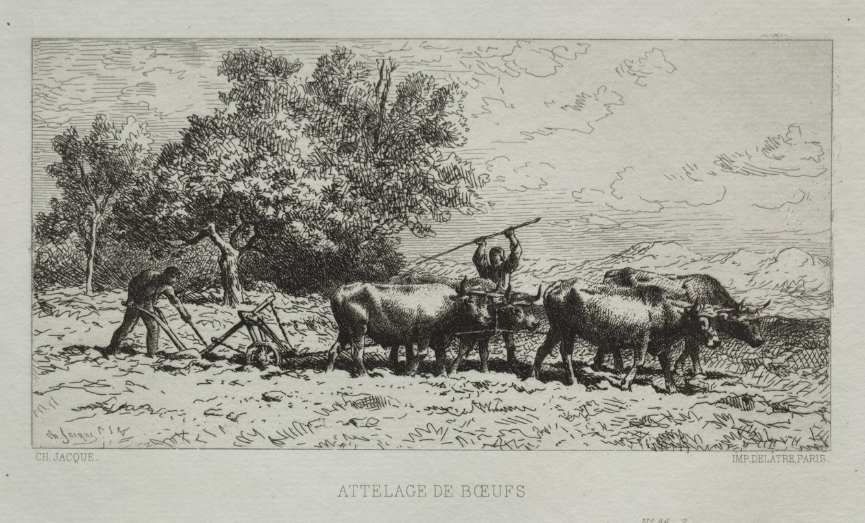 Attelage de bœufs - Francis Seymour Haden