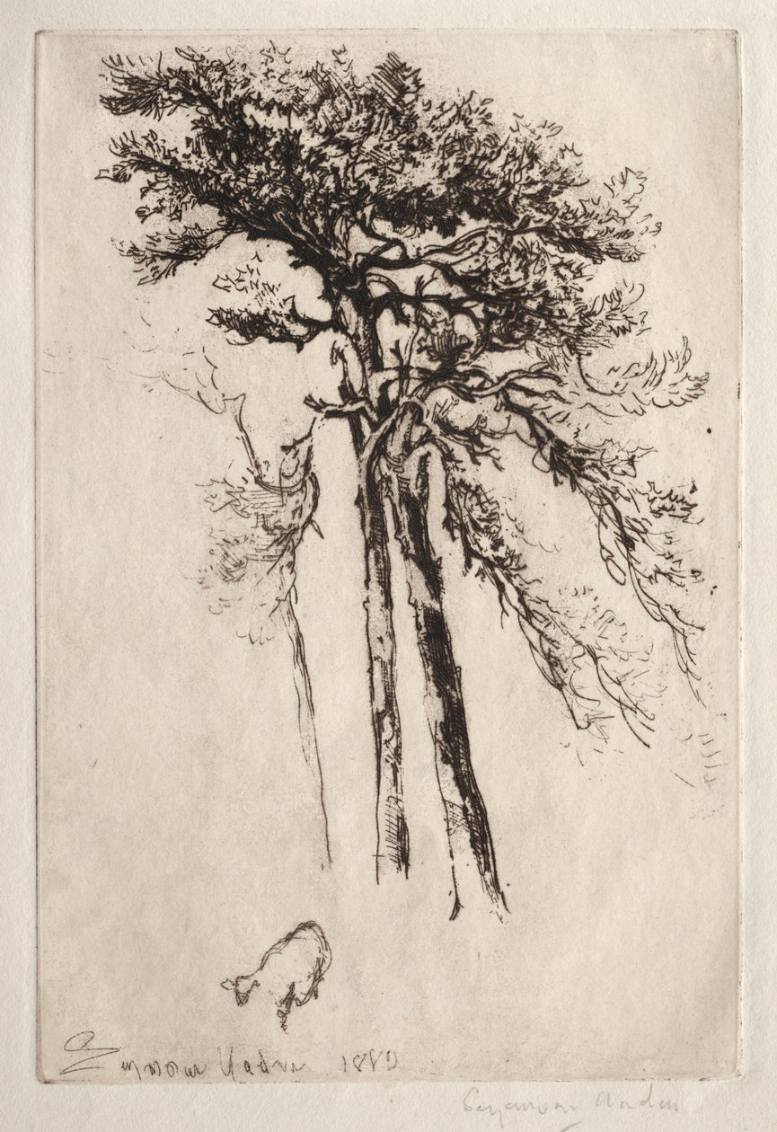Le dernier arbre - Francis Seymour Haden