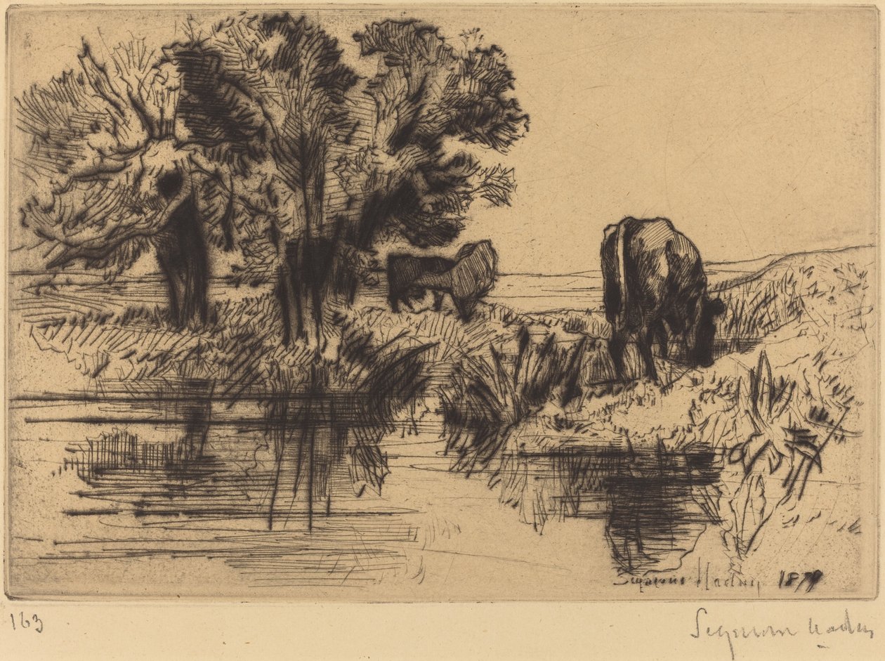 Les trois vaches - Francis Seymour Haden