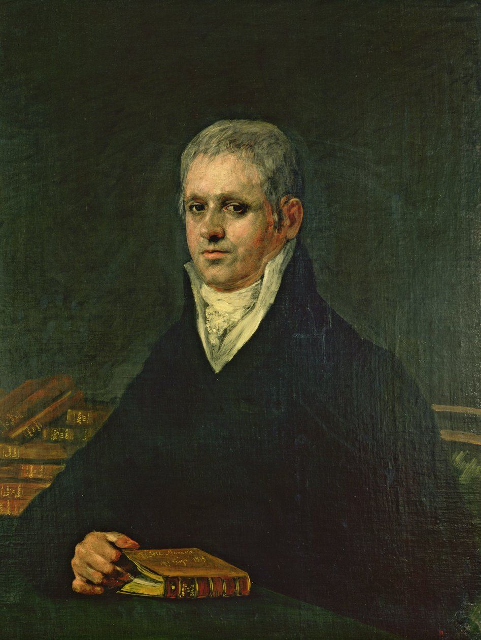 Portrait de Don José Munarriz, 1815 - Francisco de Goya