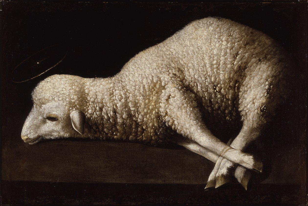 Agnus Dei, vers 1635-40 - Francisco de Zurbaran