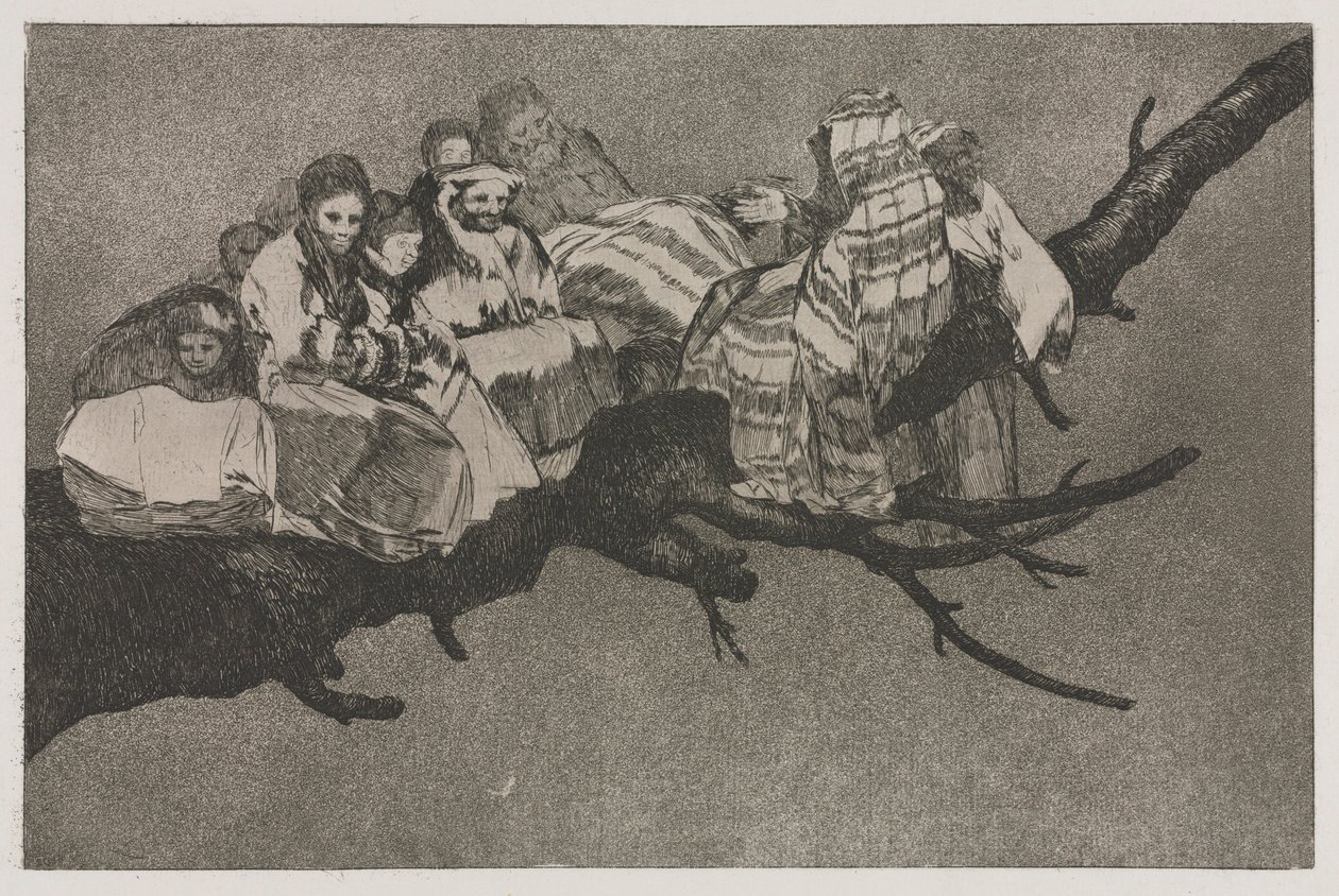 Les proverbes : Folie ridicule, 1864 - Francisco de Goya