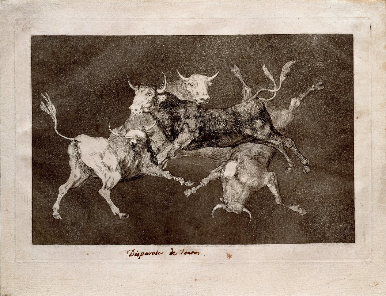 La Folie du Fou - Francisco de Goya
