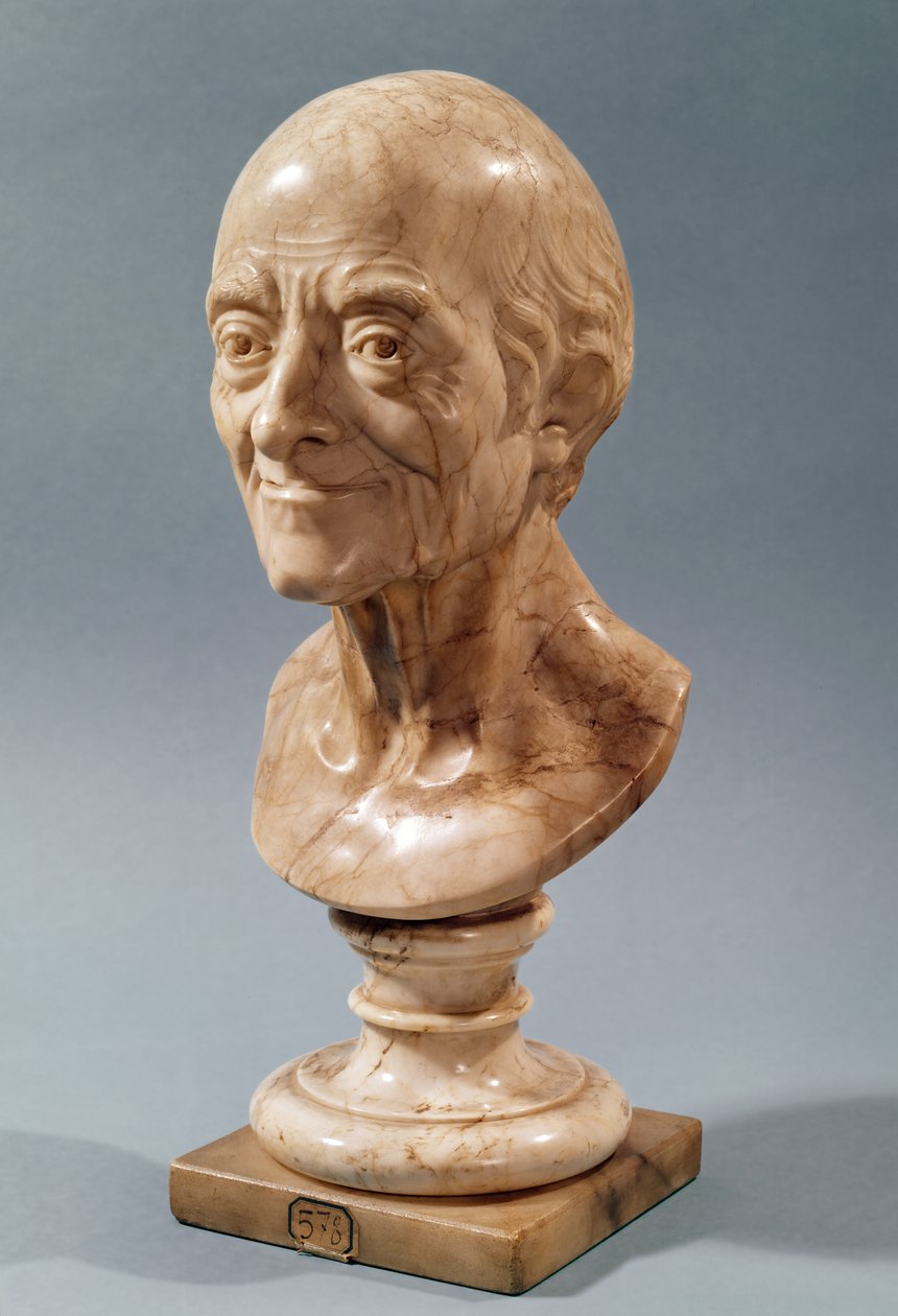 Buste de Voltaire (1694-1778) - Francois Marie Rosset