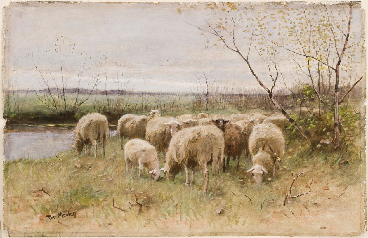 Moutons - Francois Pieter ter Meulen