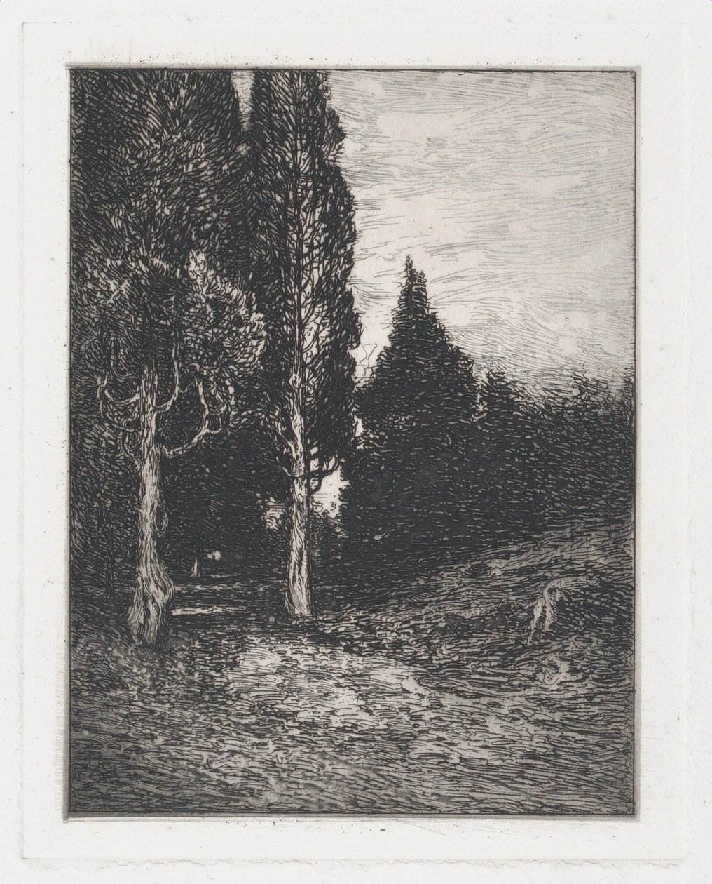 Paysage, vers 1880-91 - Frank Anderson