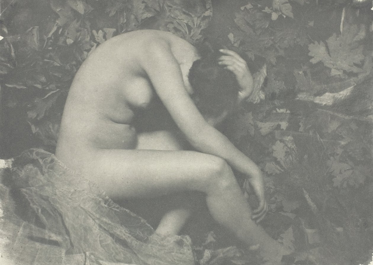 La Cigale, 1898 - Frank Eugene