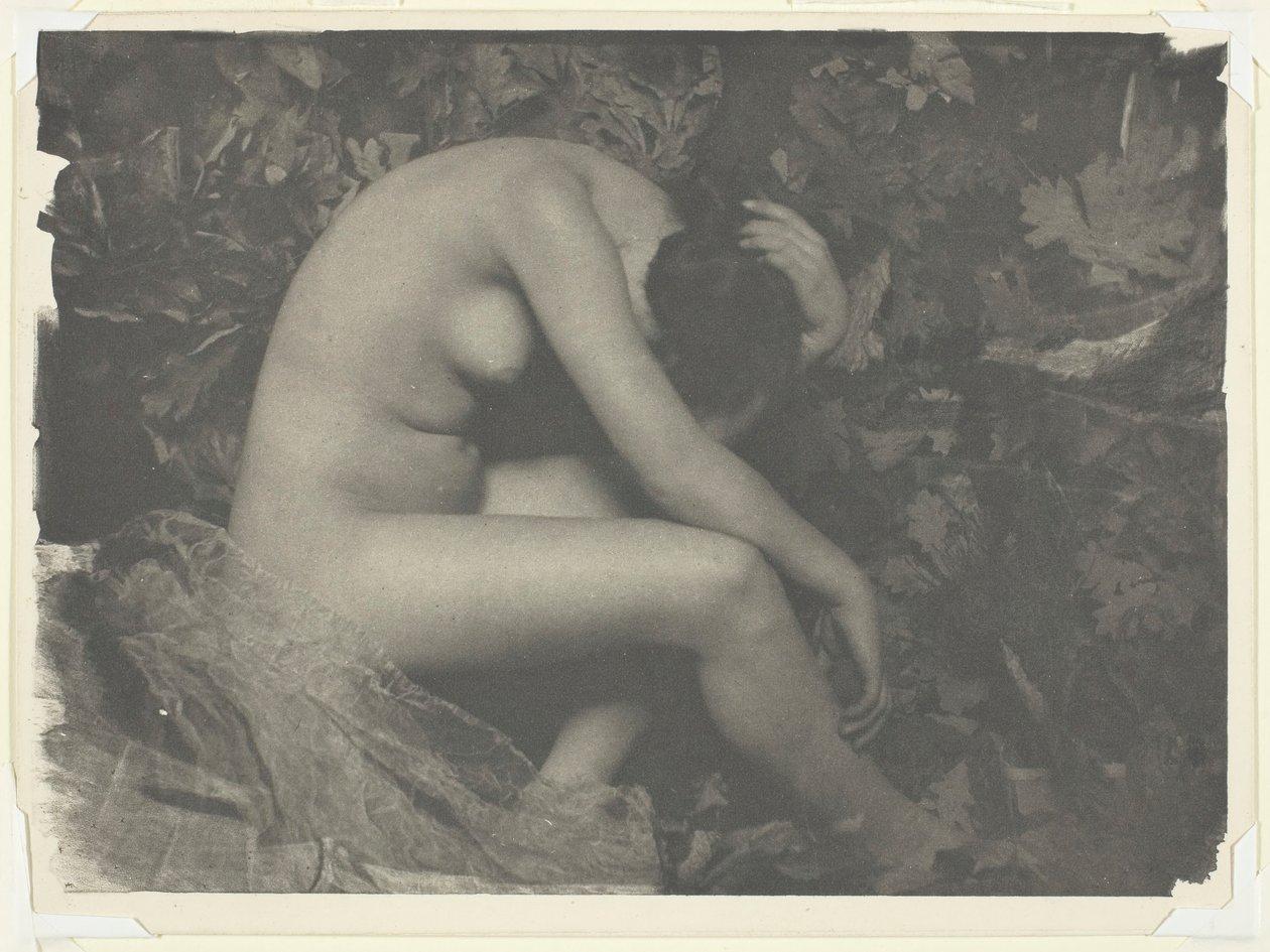 La Cigale, 1898 - Frank Eugene