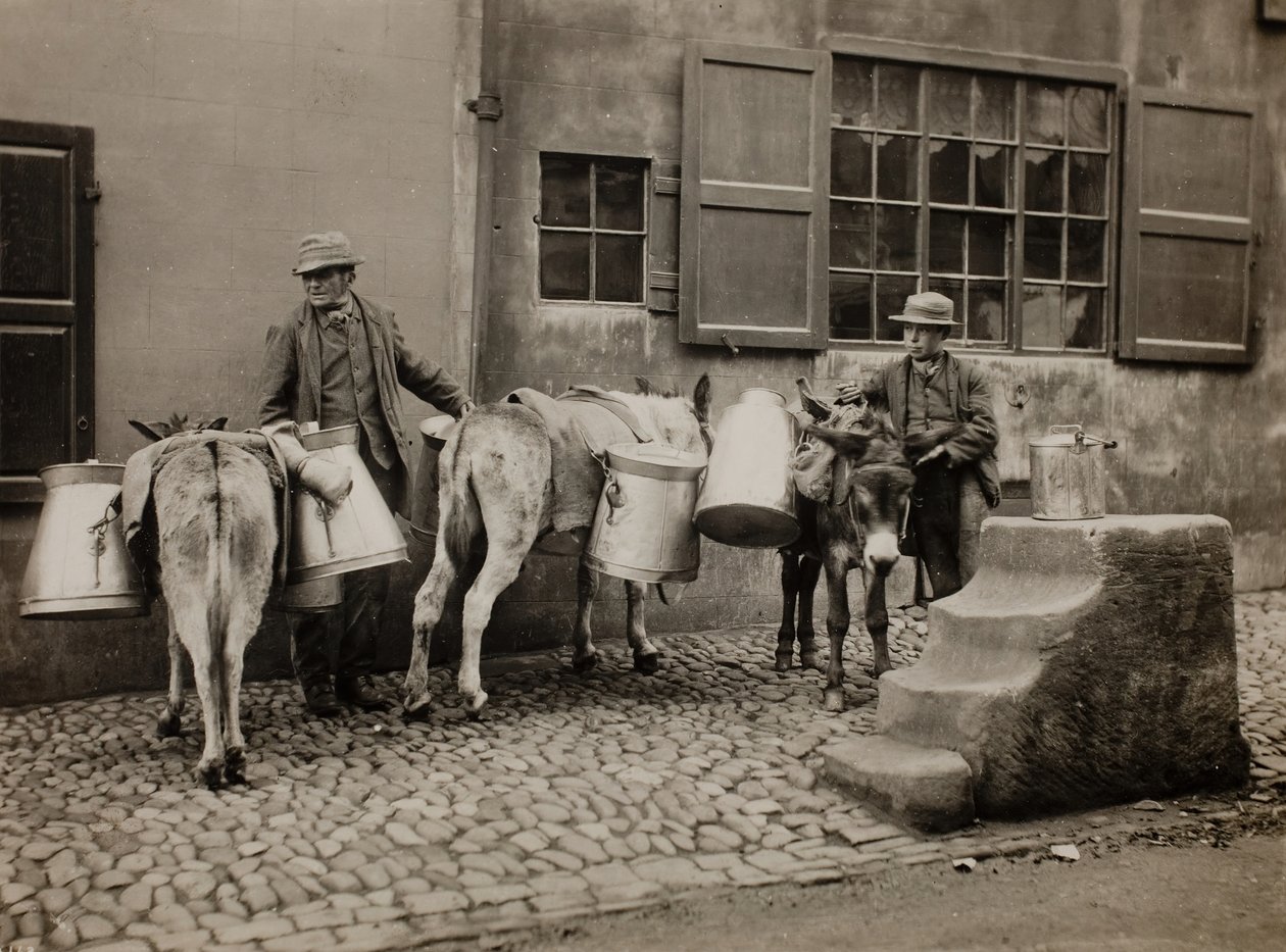 Ânes laitiers, vers 1890 - Frank Meadow Sutcliffe