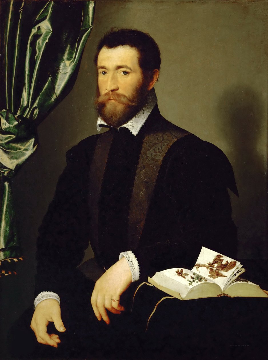 Portrait de Pierre Quthe, apothicaire, 1562 - François Clouet