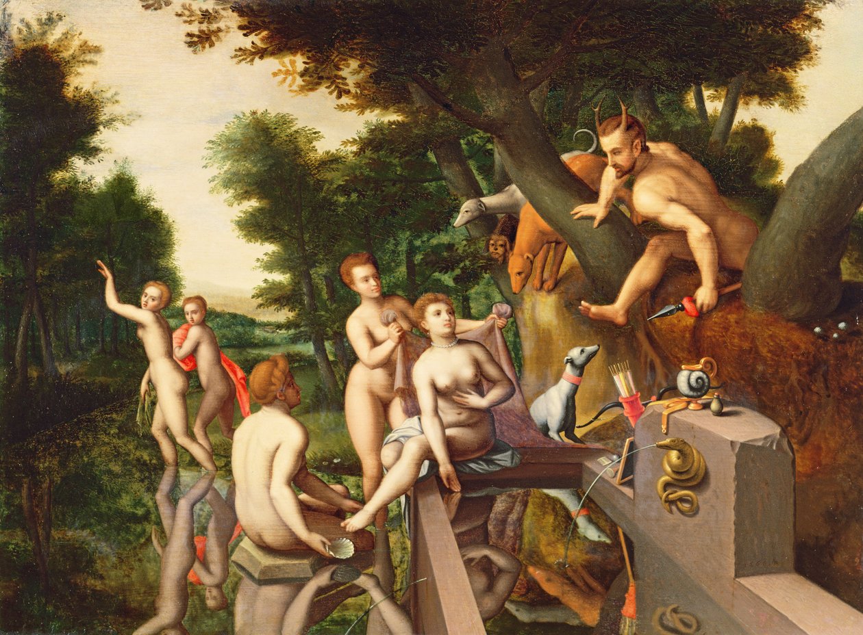 Image inconnue - François Clouet