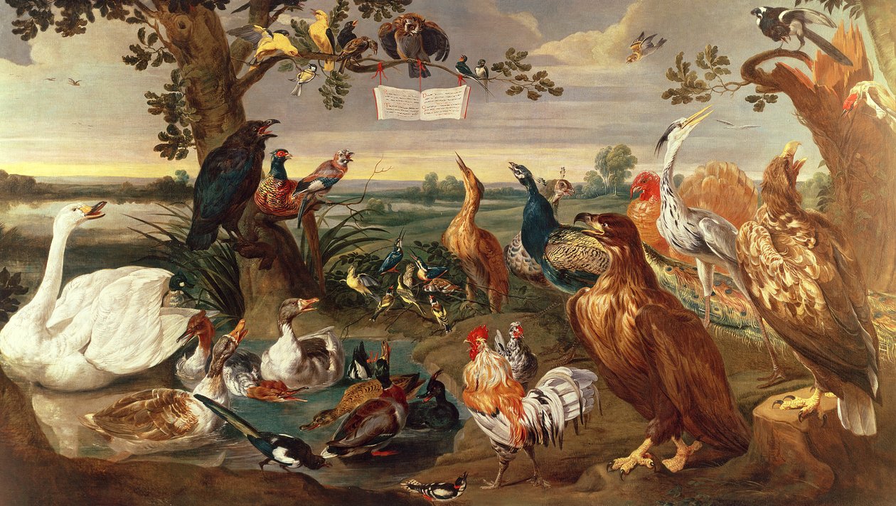Divers oiseaux - Frans Snyders or Snijders