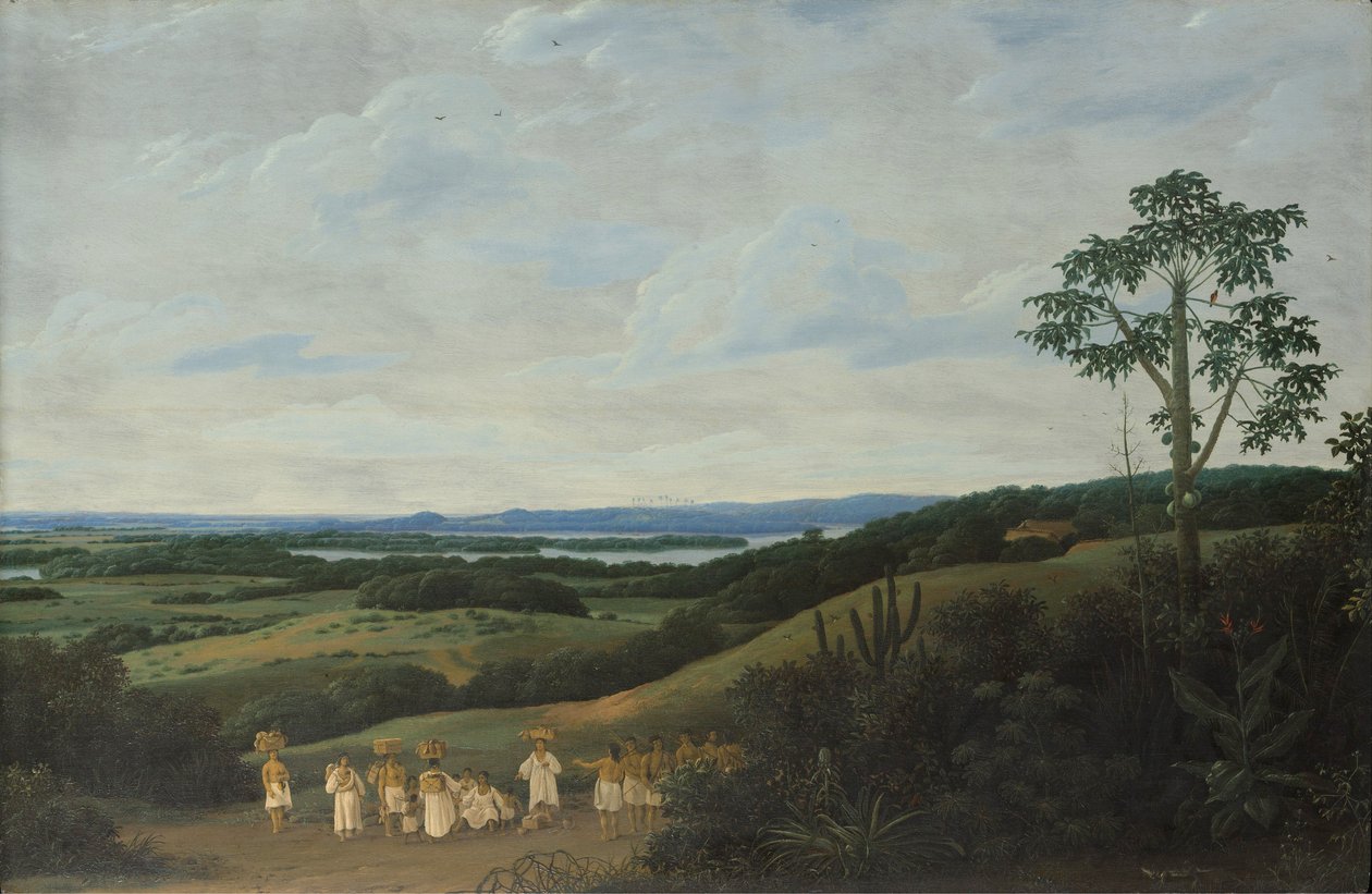 Paysage brésilien - Frans Post