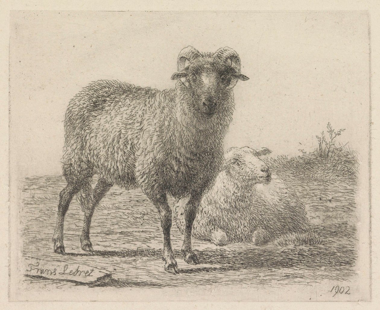 Bélier et mouton - Frans Lebret