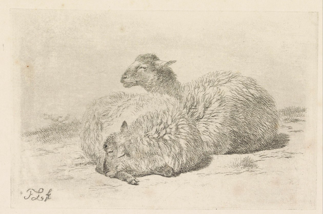 Deux moutons couchés - Frans Lebret