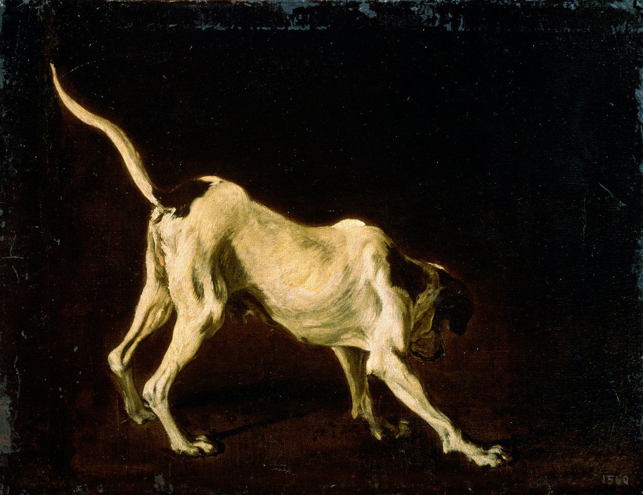 Un chien, XVIIe siècle - Frans Snyders or Snijders