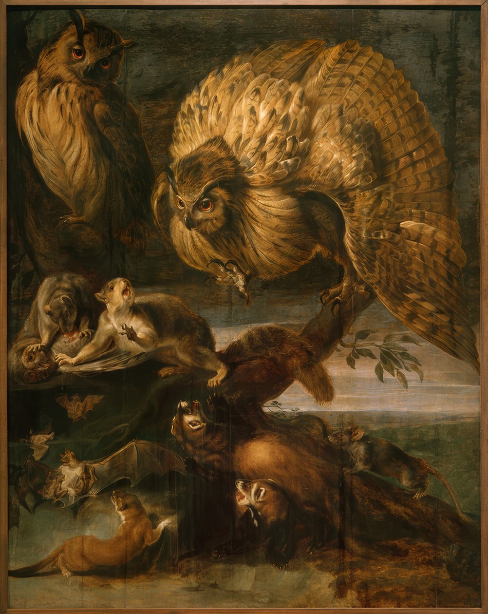 Animaux de la nuit - Frans Snyders