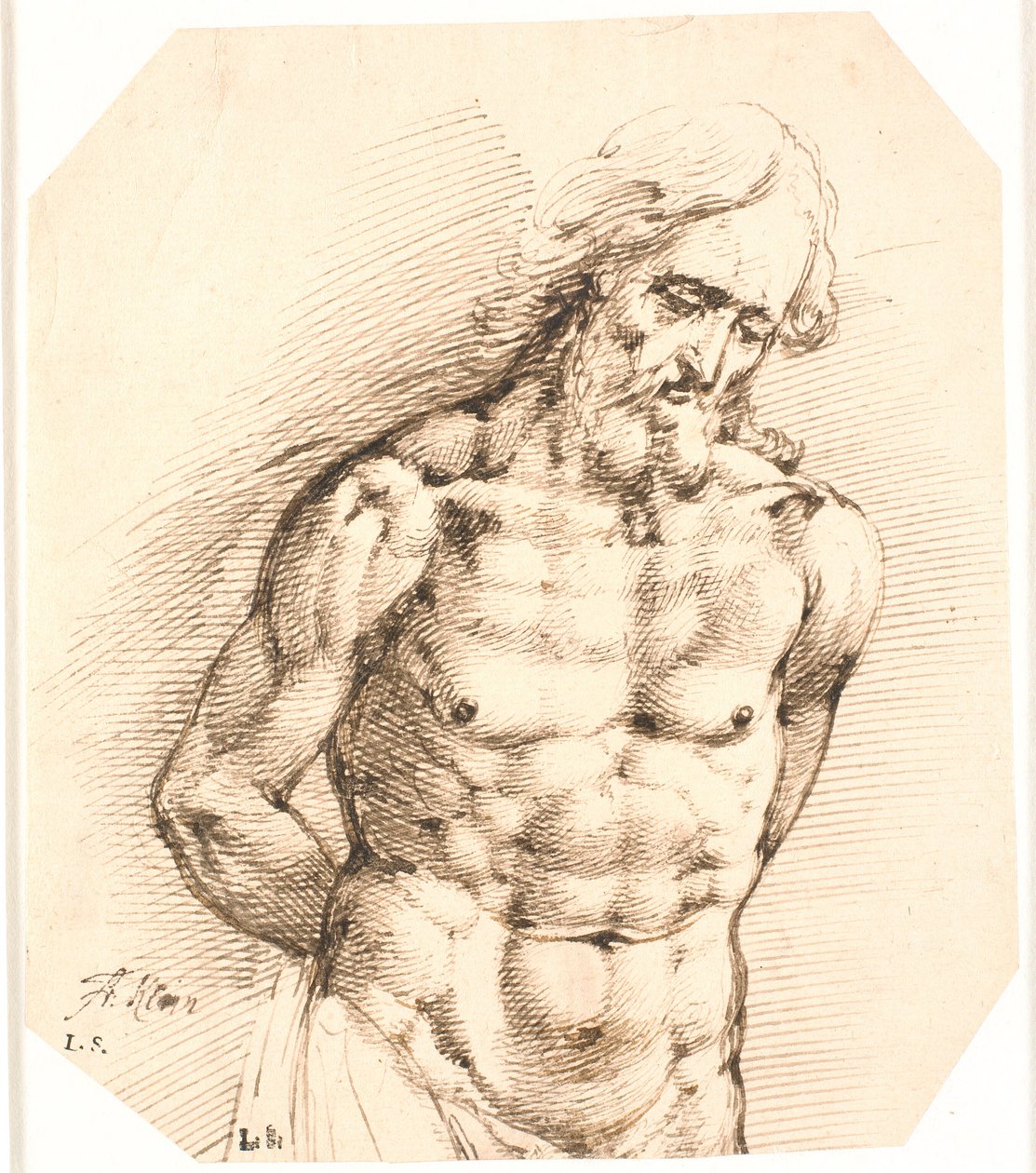 Demi-figure du Christ - Frantz Cleyn