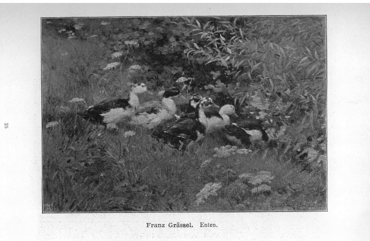 Canards - Franz Grassel
