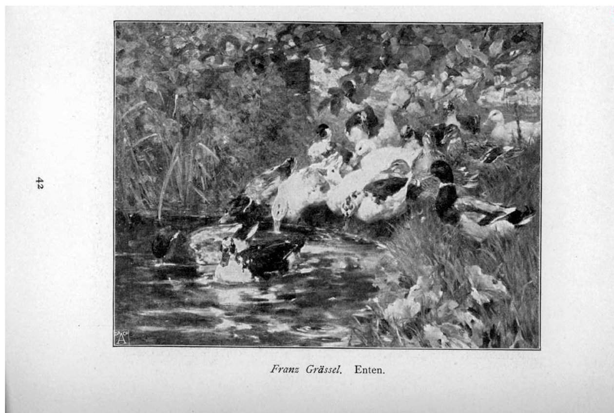 Canards - Franz Grassel