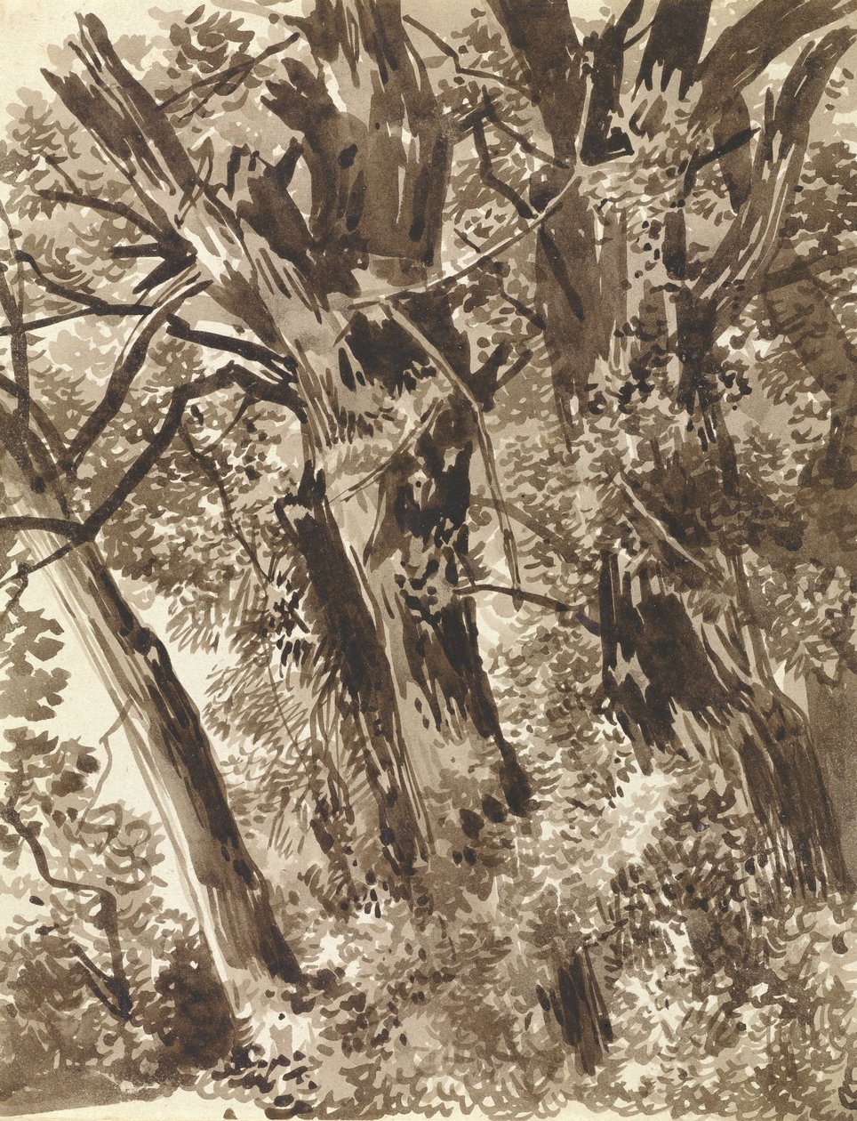 Troncs et branches - Franz Innocenz Kobell