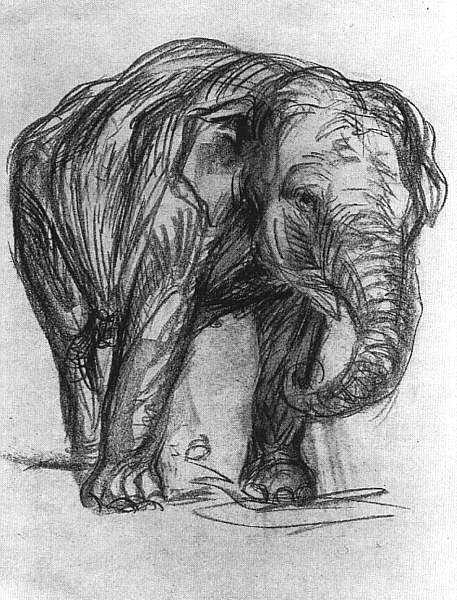 Éléphant - Franz Marc