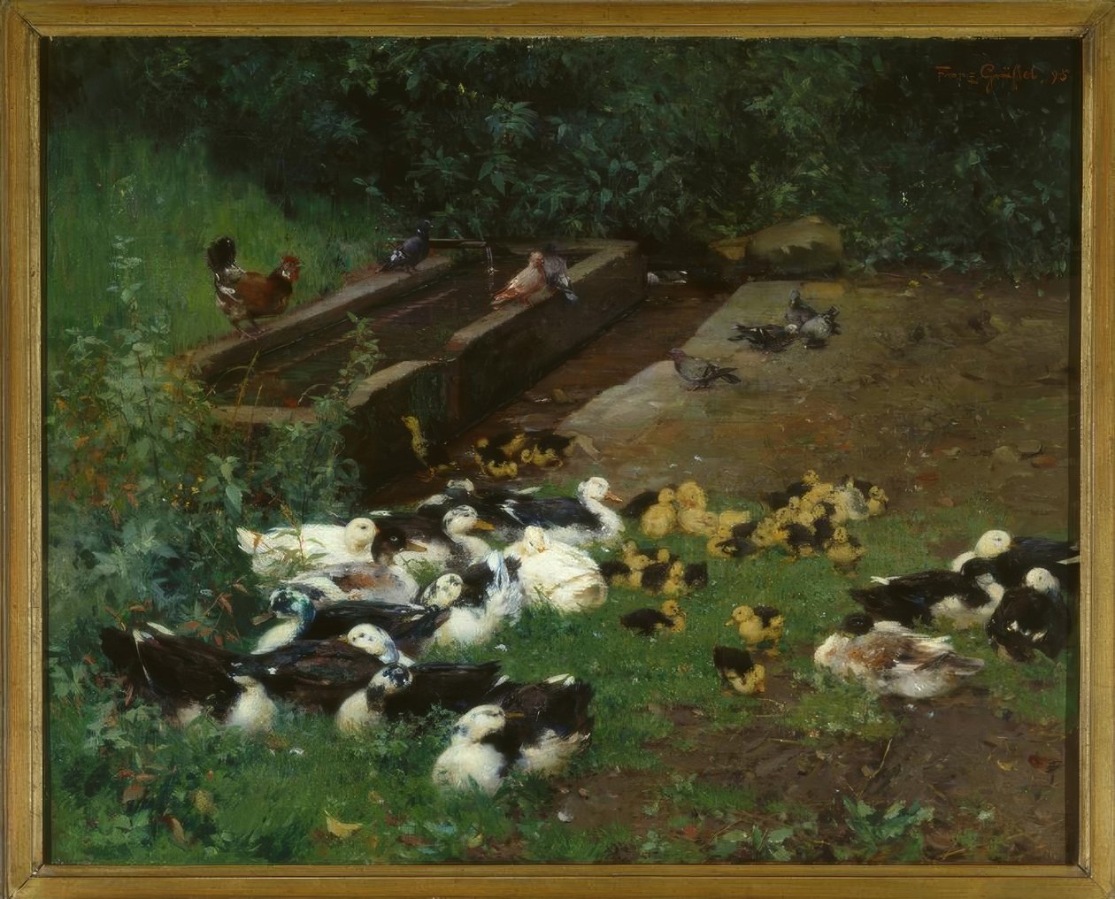 Familles de canards - Franz Grassel