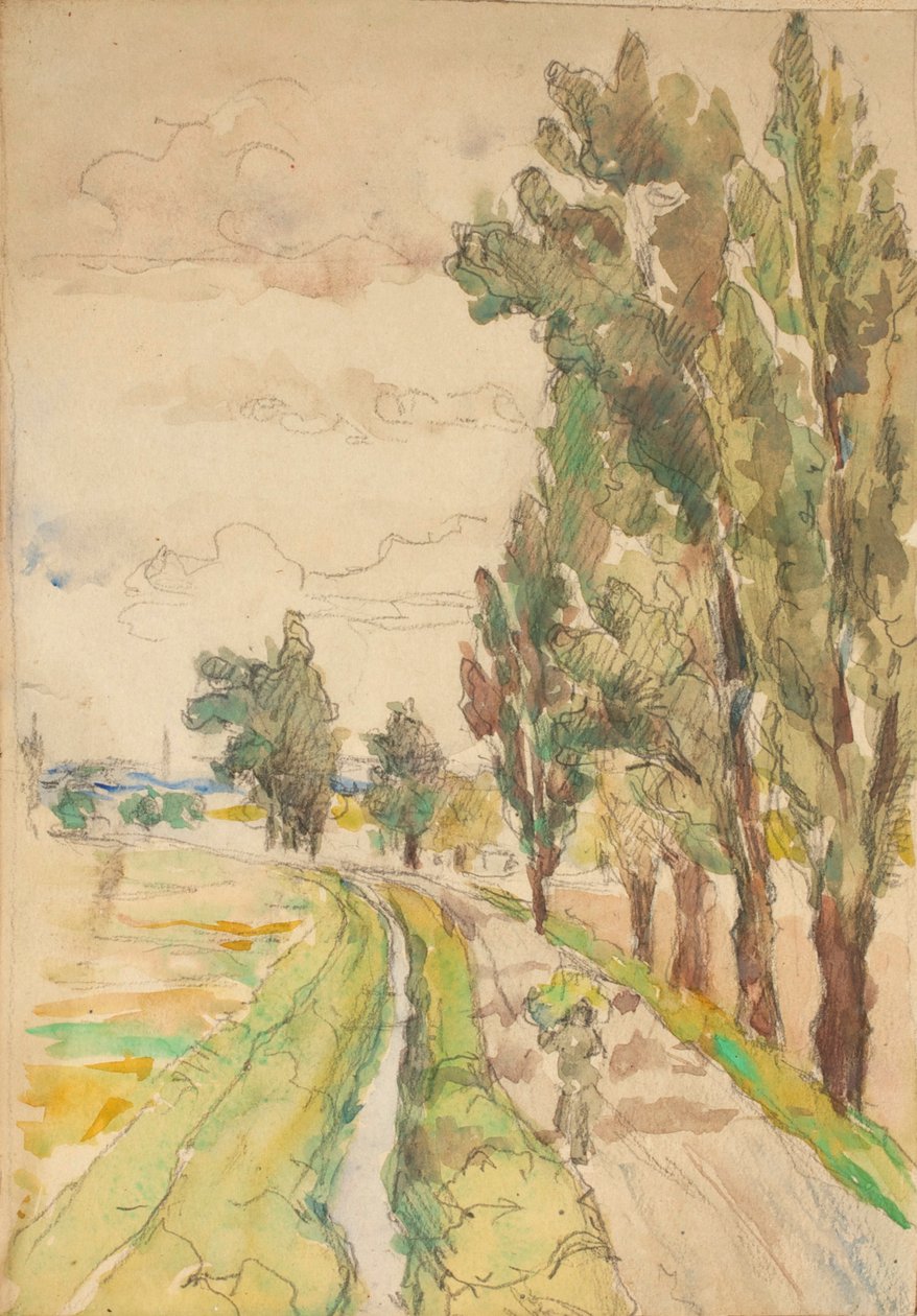 Route bordée d