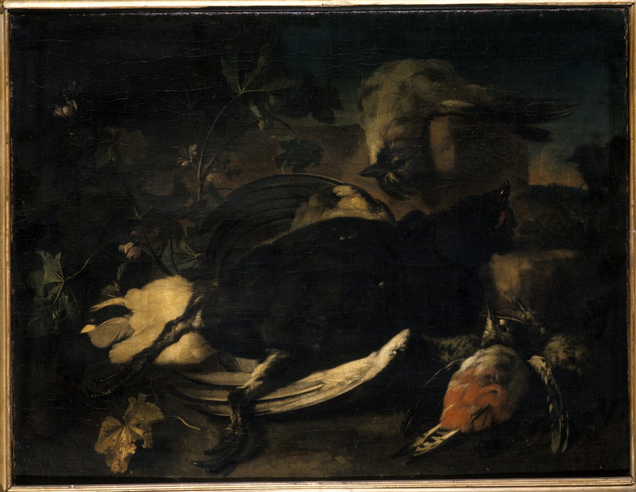Volaille morte - Franz Werner Tamm