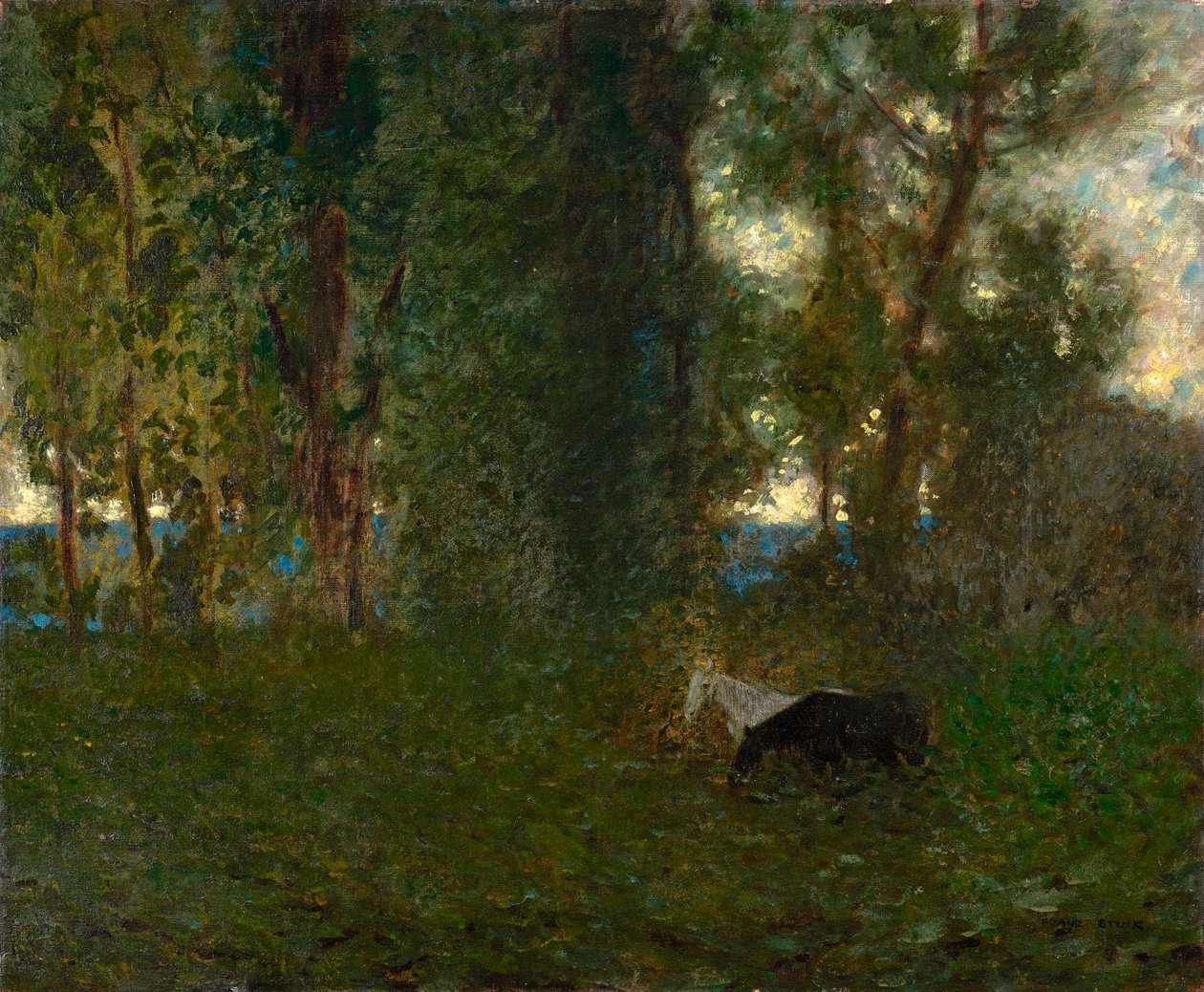 Chevaux paissant - Franz von Stuck