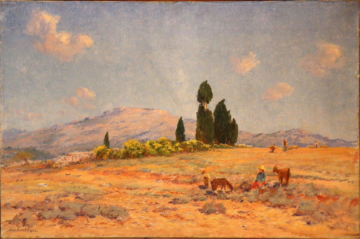 La gardienne de chèvres - Frederic Montenard